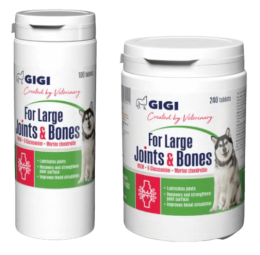 GiGi for Large Joints & Bones