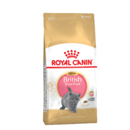 Royal Canin FBN Kitten British Shorthair