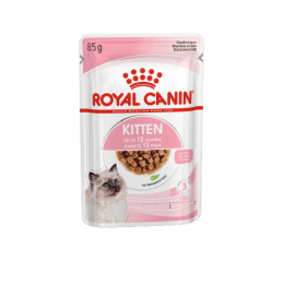 Royal Canin FHN Kitten in Gravy