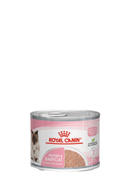 Royal Canin FHN Moter & Babycat Ultra Soft Mousse
