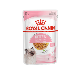 Royal Canin FHN Kitten Instinctive in Jelly
