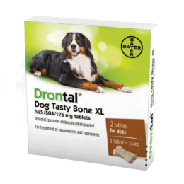Drontal Dog XL
